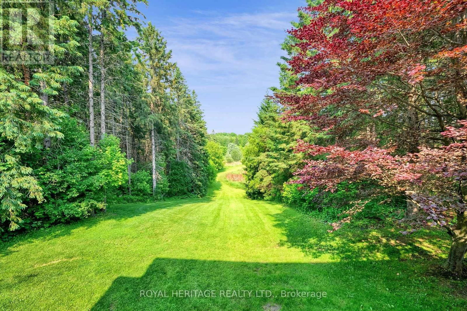 4585 CORONATION ROAD Image 16