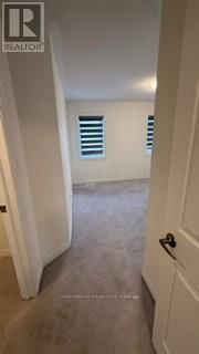 68 AIR DANCER CRESCENT Image 16