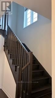 68 AIR DANCER CRESCENT Image 6