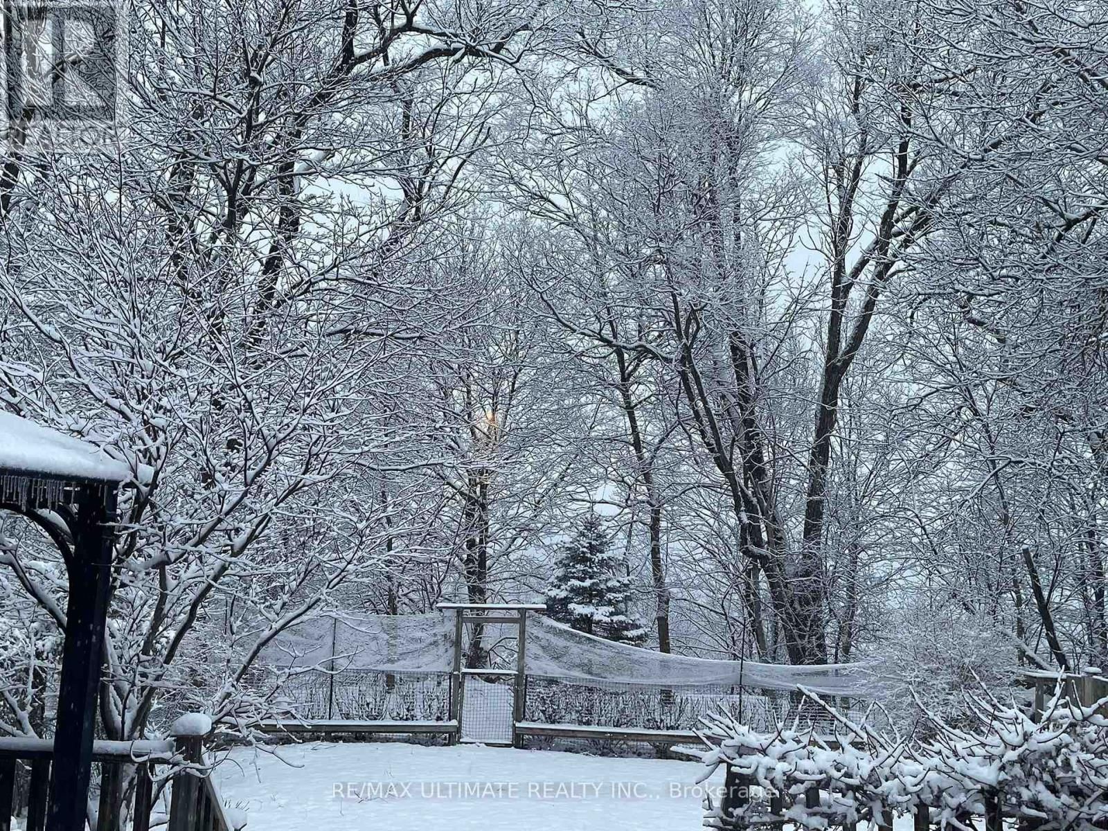 103 WEIR CRESCENT Image 50