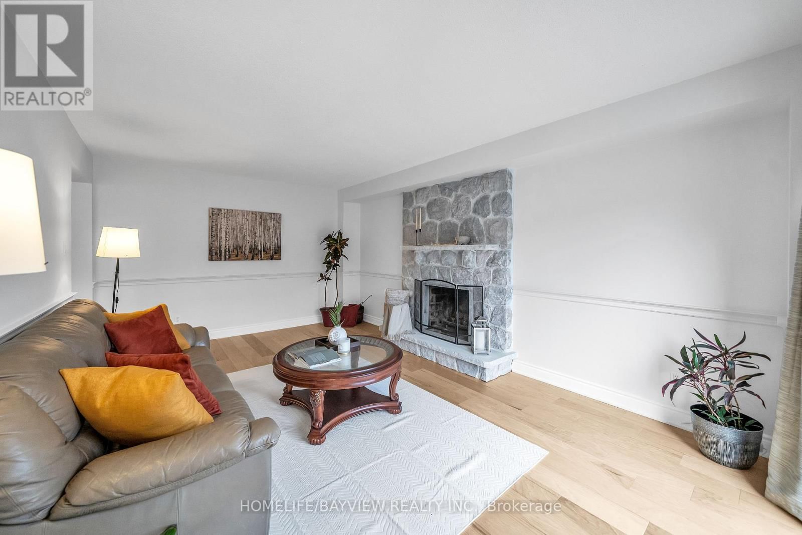 565 SHEPPARD AVENUE Image 7