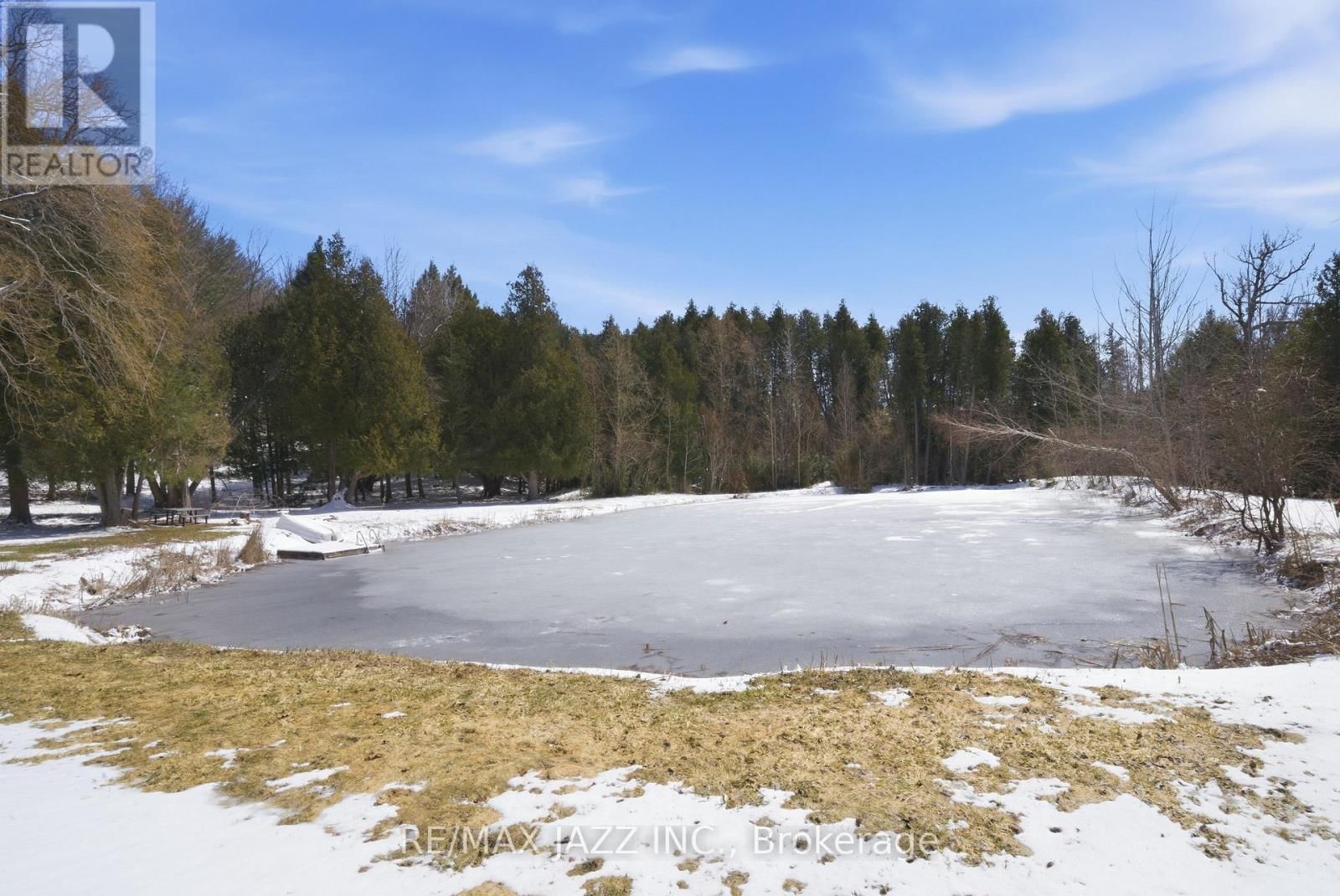 4204 CONCESSION ROAD 8 Image 42