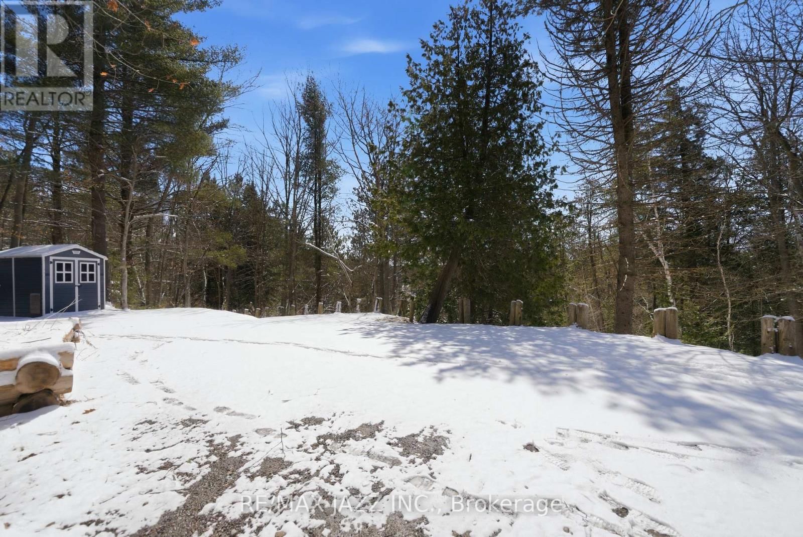 4204 CONCESSION ROAD 8 Image 43