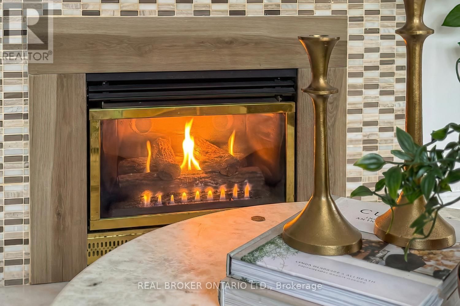 18 CONCESSION STREET WEST Image 8