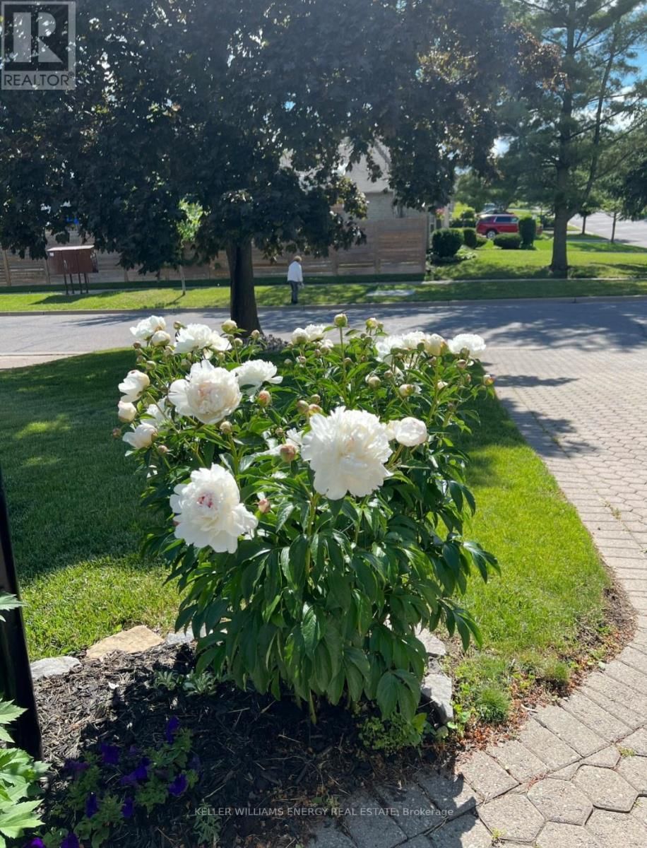 565 PRESTWICK DRIVE Image 43