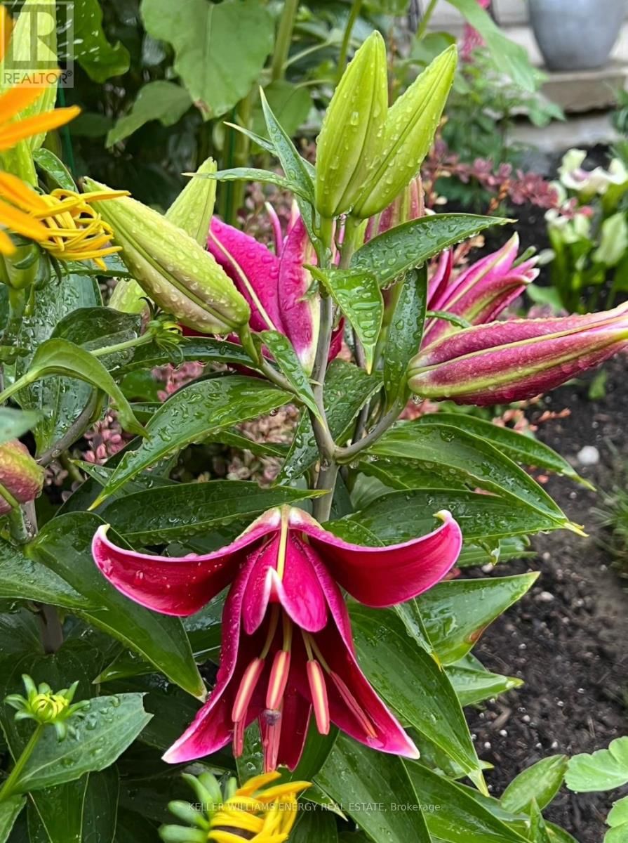 565 PRESTWICK DRIVE Image 44