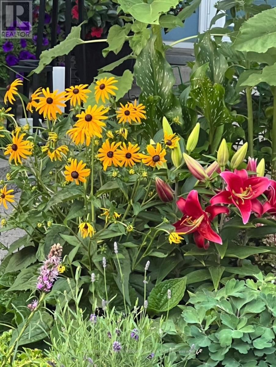 565 PRESTWICK DRIVE Image 45