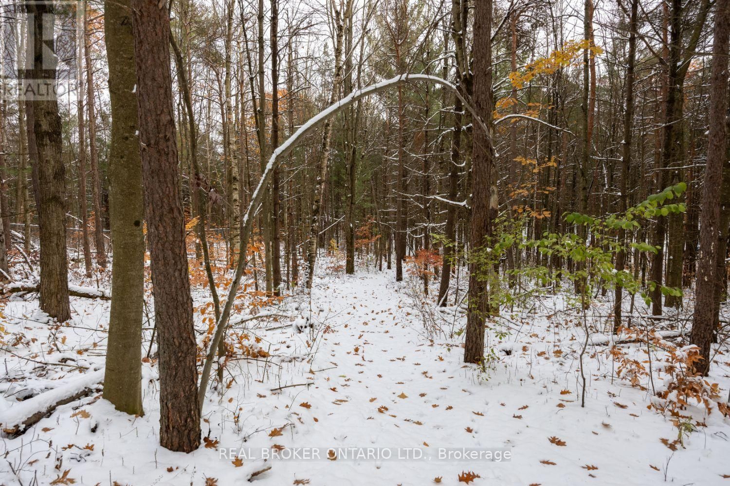 5 SUMAC ROAD Image 50