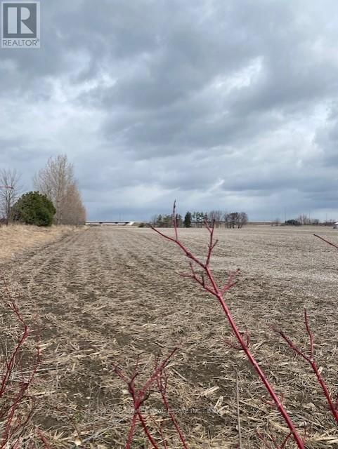 255 & 250 CRAGO ROAD Image 3