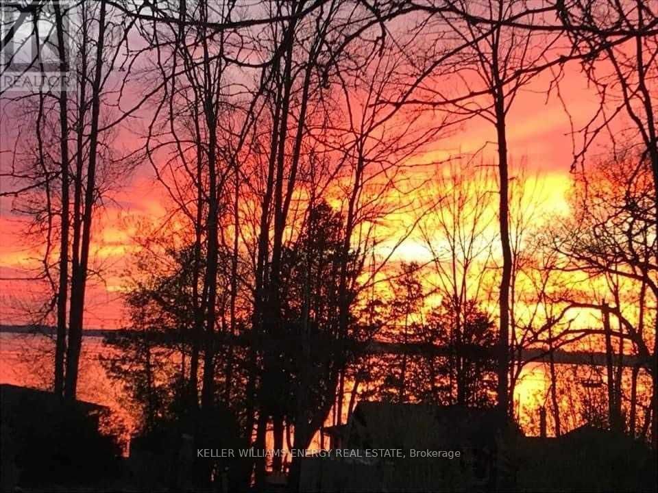 18 PROSSER AVENUE Image 36