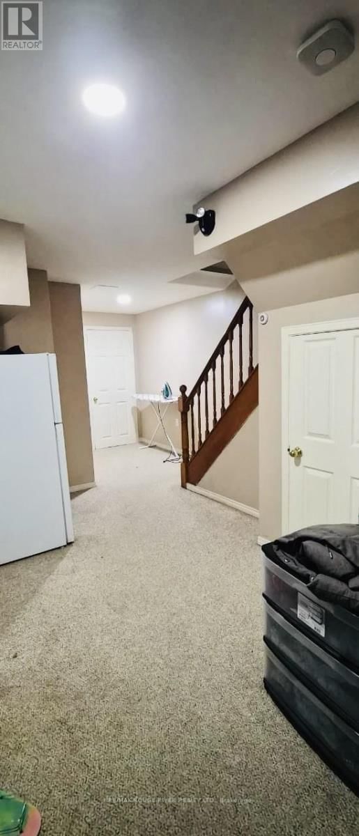 Basement - 43 BLUE LAGOON COURT Image 3