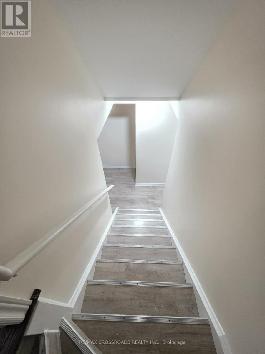 Basement - 14 SCHOOLBRIDGE STREET Image 2