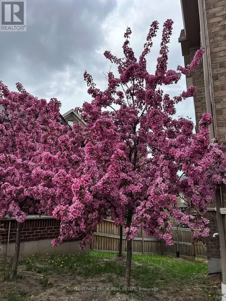 6 ALDRIDGE LANE Image 48