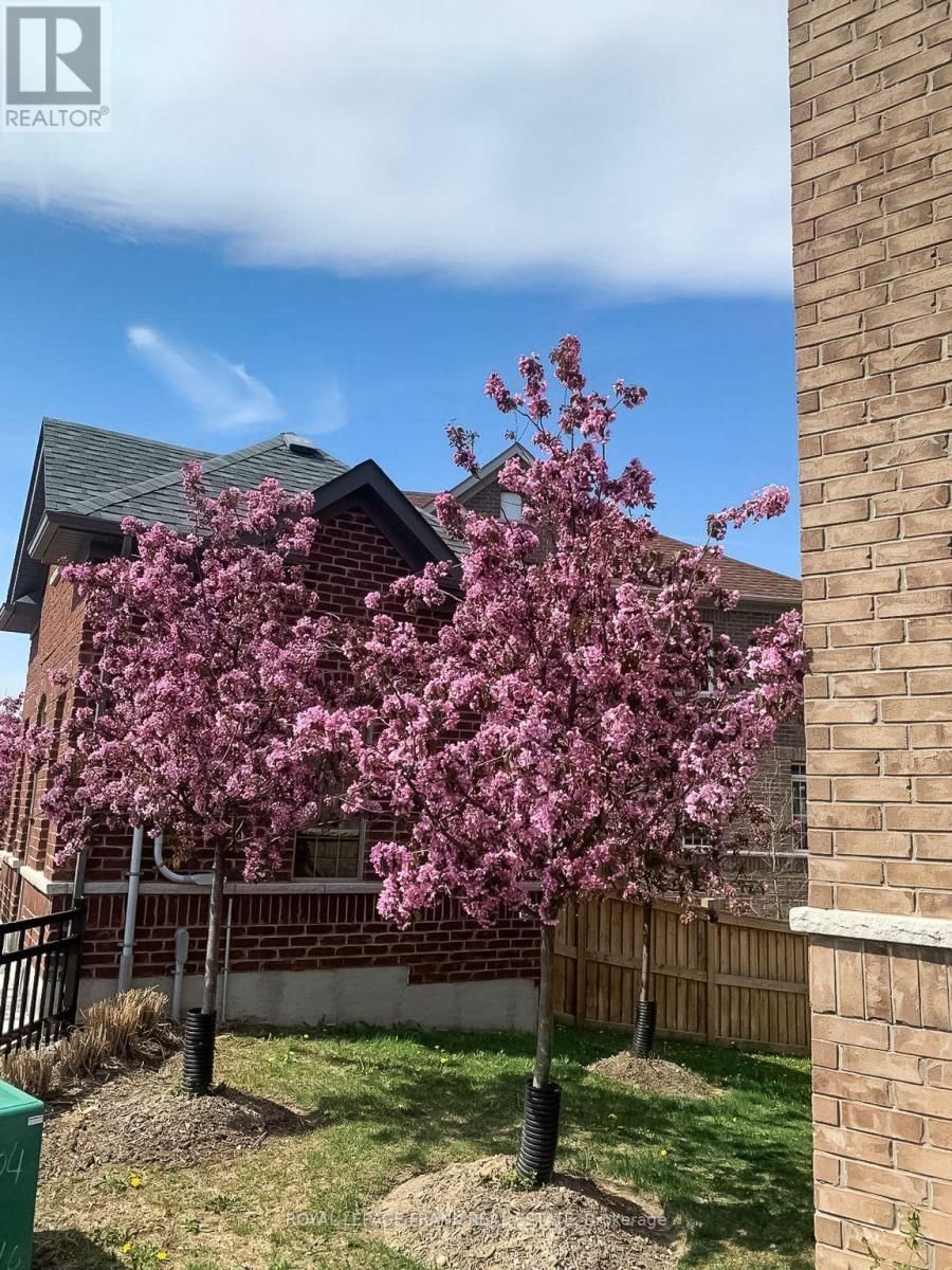 6 ALDRIDGE LANE Image 50