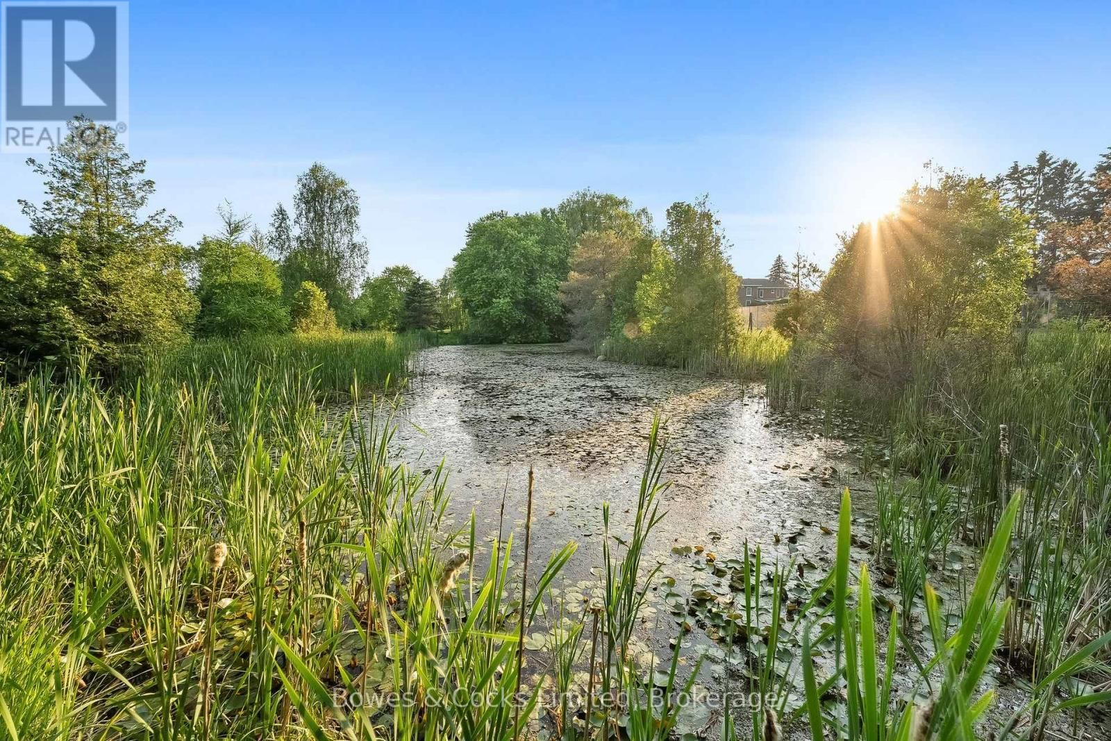 3255 POLLARD ROAD Image 43