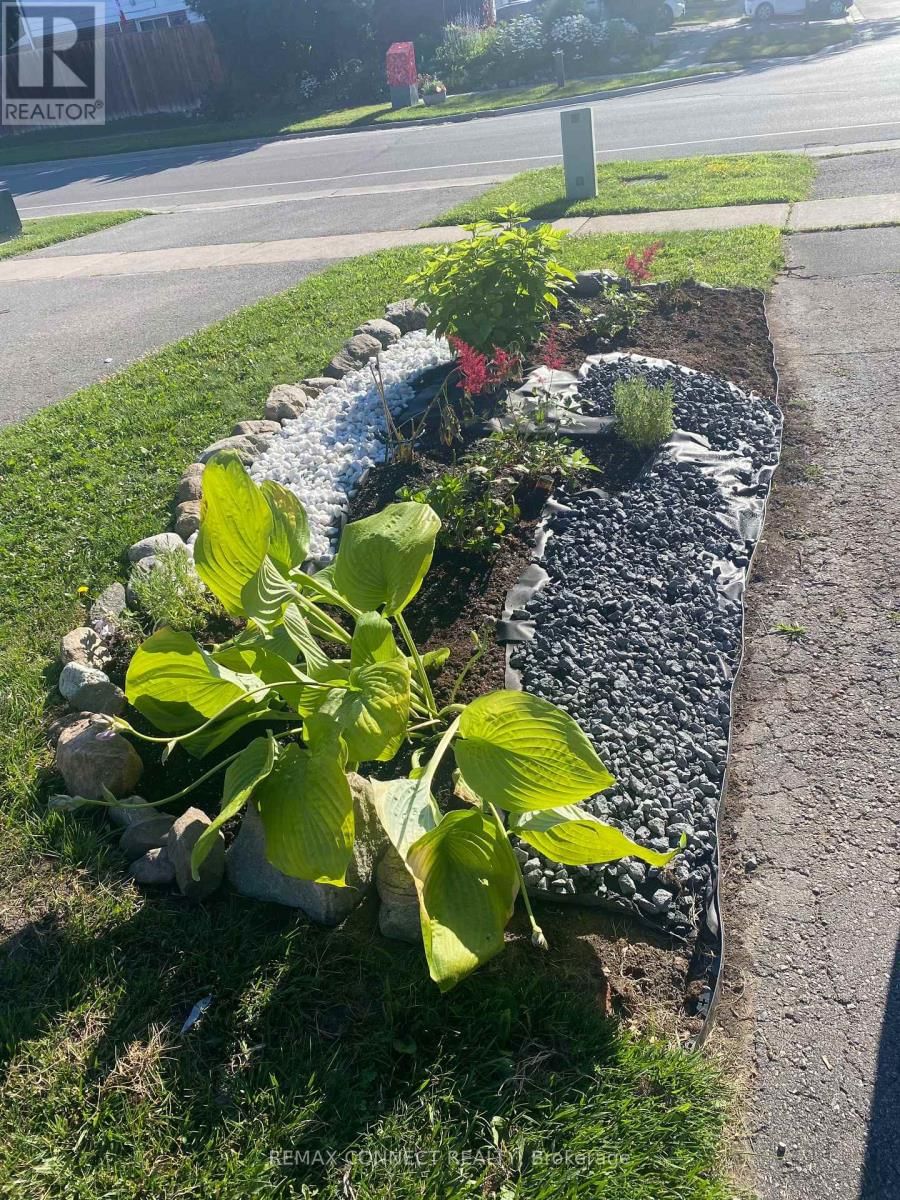 594 WAVERLY STREET NORTH Image 6