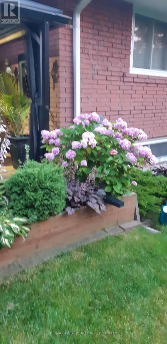 1184 KINGSTON ROAD Image 43