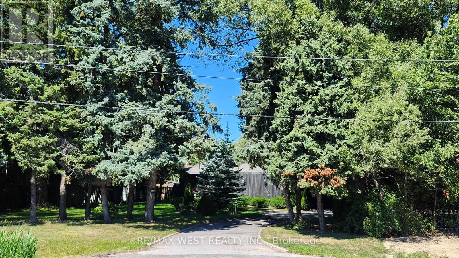 1184 KINGSTON ROAD Image 47