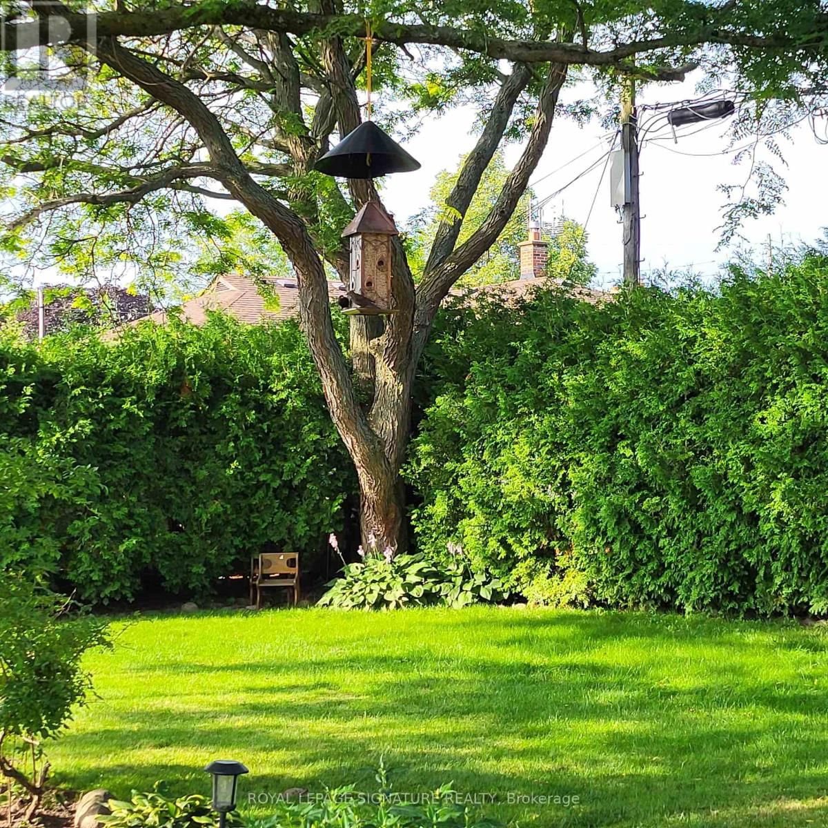 522 ROSMERE STREET Image 40