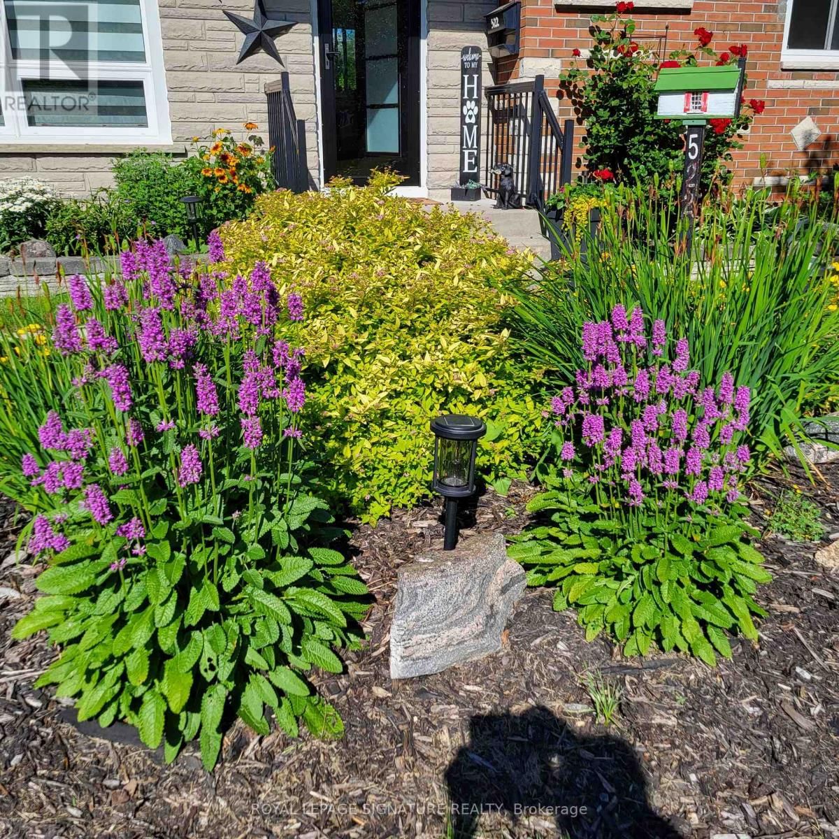 522 ROSMERE STREET Image 41