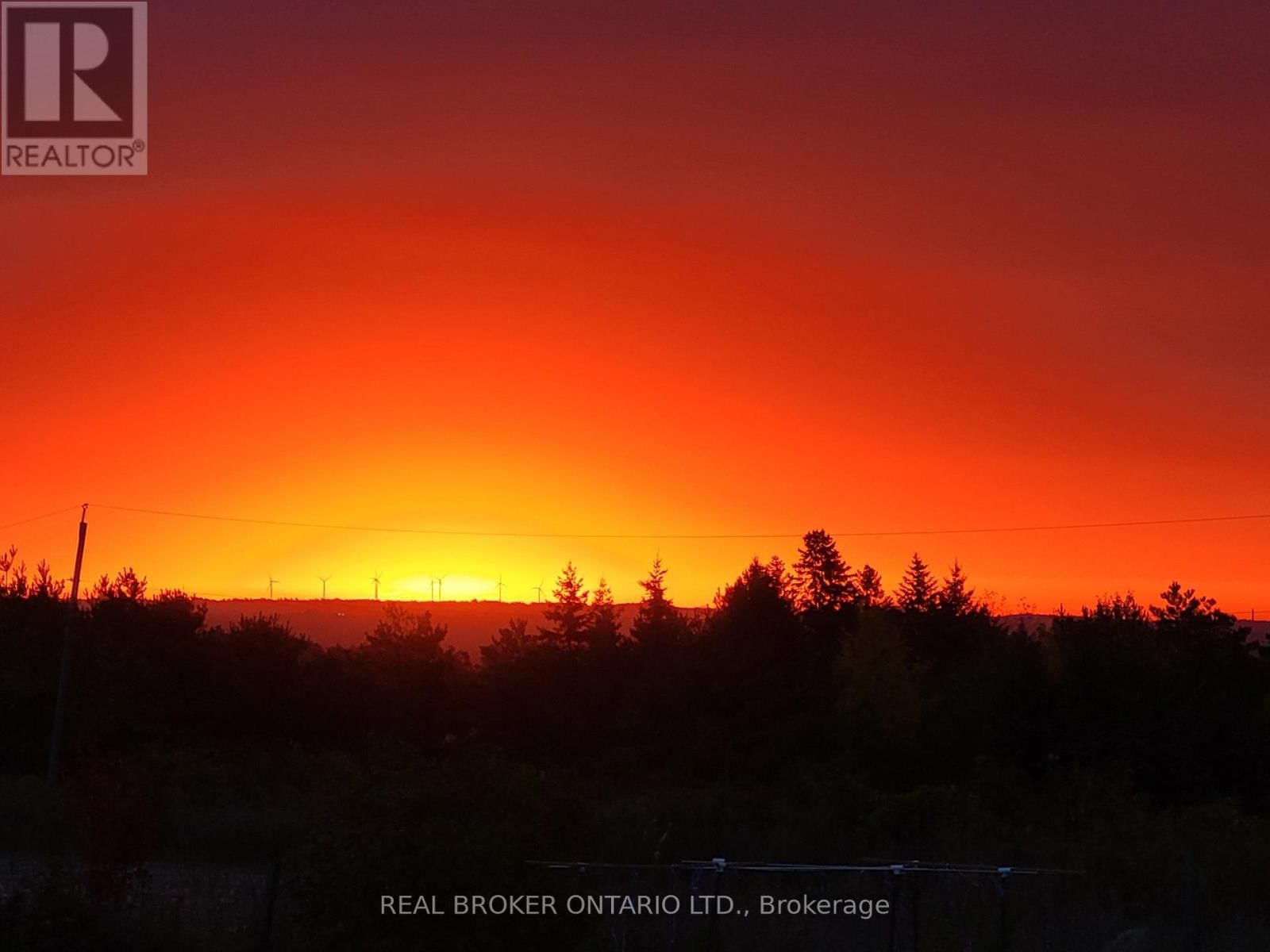 2144 CONCESSION ROAD 9 Image 35