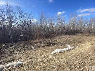 Image #1 of Commercial for Sale at 54419 Rge Rd 14, Lac Ste Anne, Alberta