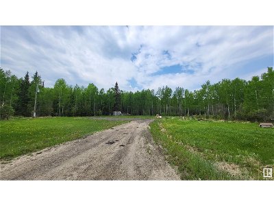 Image #1 of Commercial for Sale at 50118 Range Road 91, Brazeau, Alberta