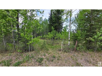 Image #1 of Commercial for Sale at Twp 501 Range Road 91 Lot 2, Brazeau, Alberta