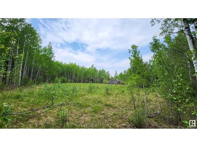 Image #1 of Commercial for Sale at Twp 501 Range Road 91 Lot 3, Brazeau, Alberta