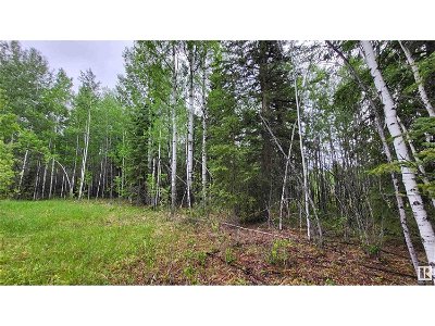 Image #1 of Commercial for Sale at Twp 501 Range Road 91 Lot 3, Brazeau, Alberta