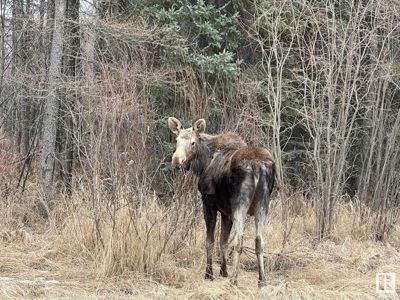 Commercial for Sale in Alberta