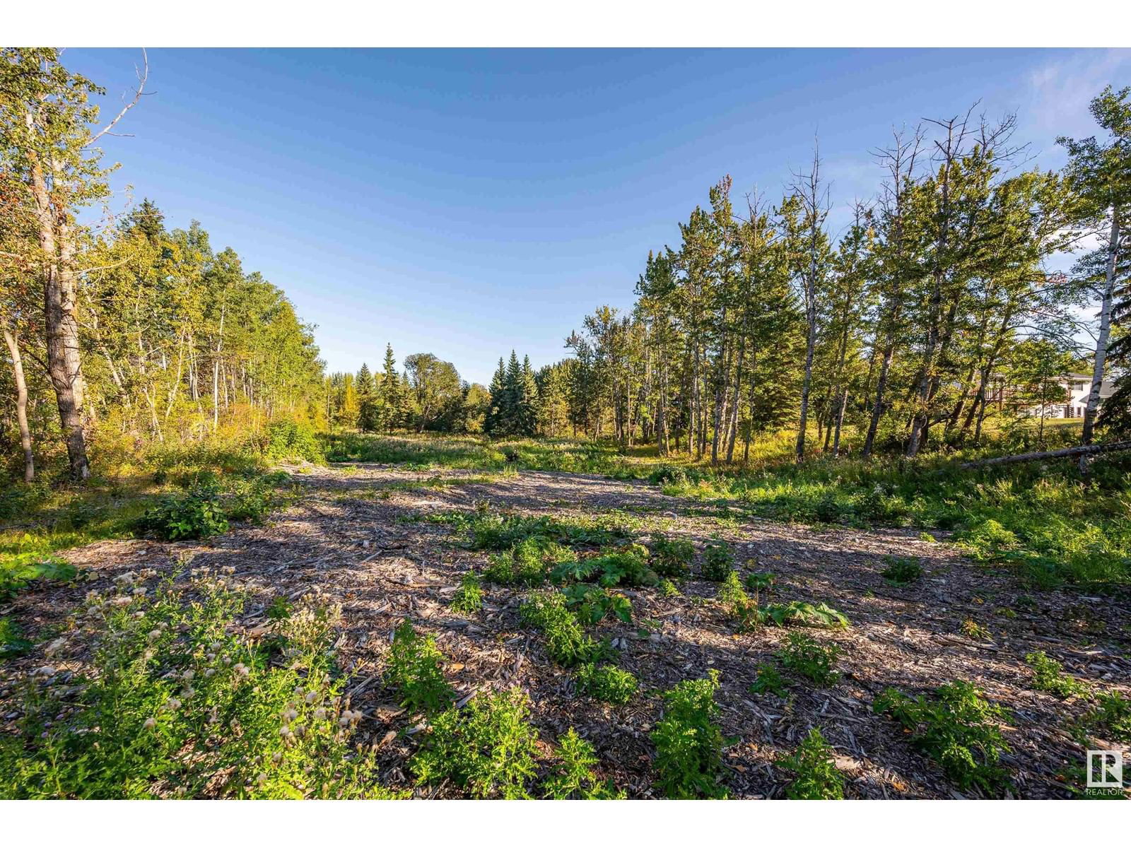 Lot 18B 52249 Rge Rd 233 Image 3