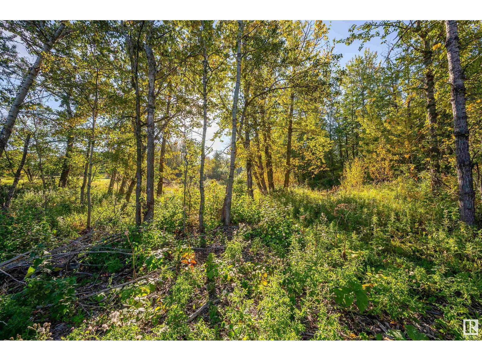 Lot 18B 52249 Rge Rd 233 Image 7