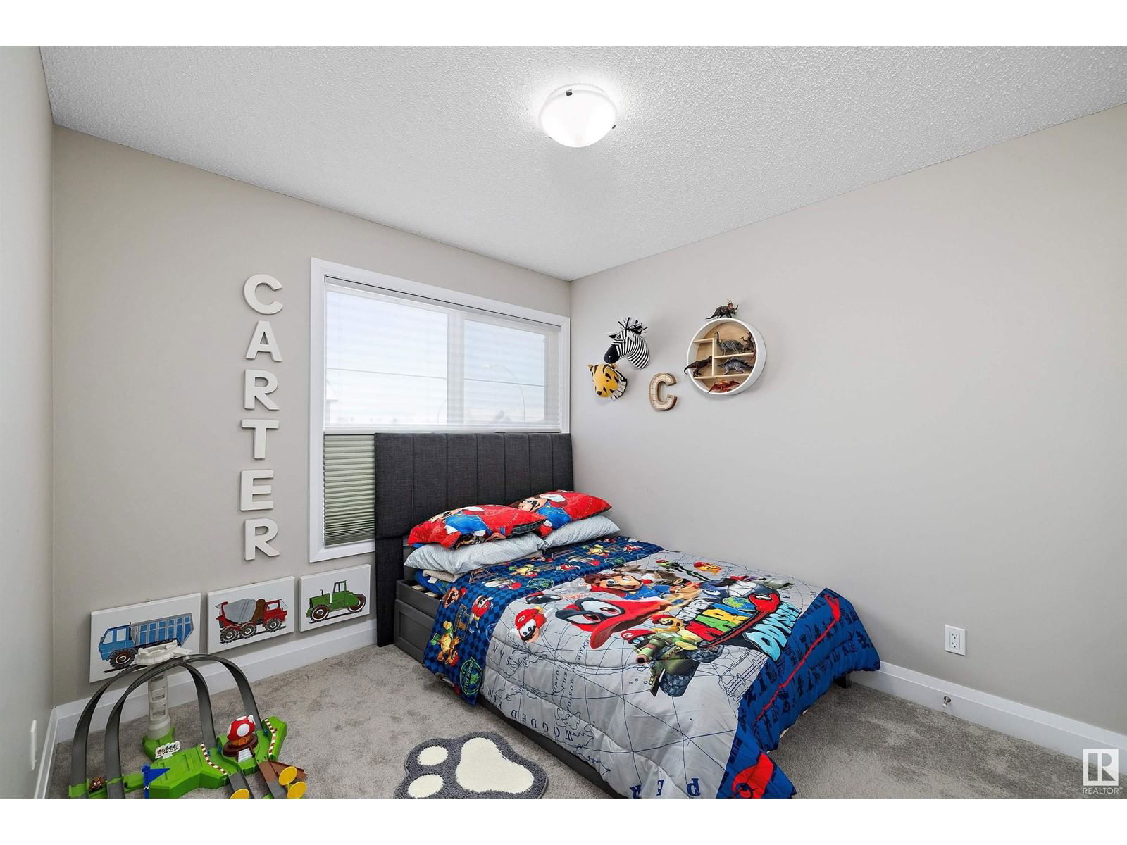 9335 223 St Nw Edmonton, Alberta