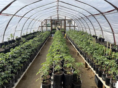 Greenhouse Businesses for Sale
