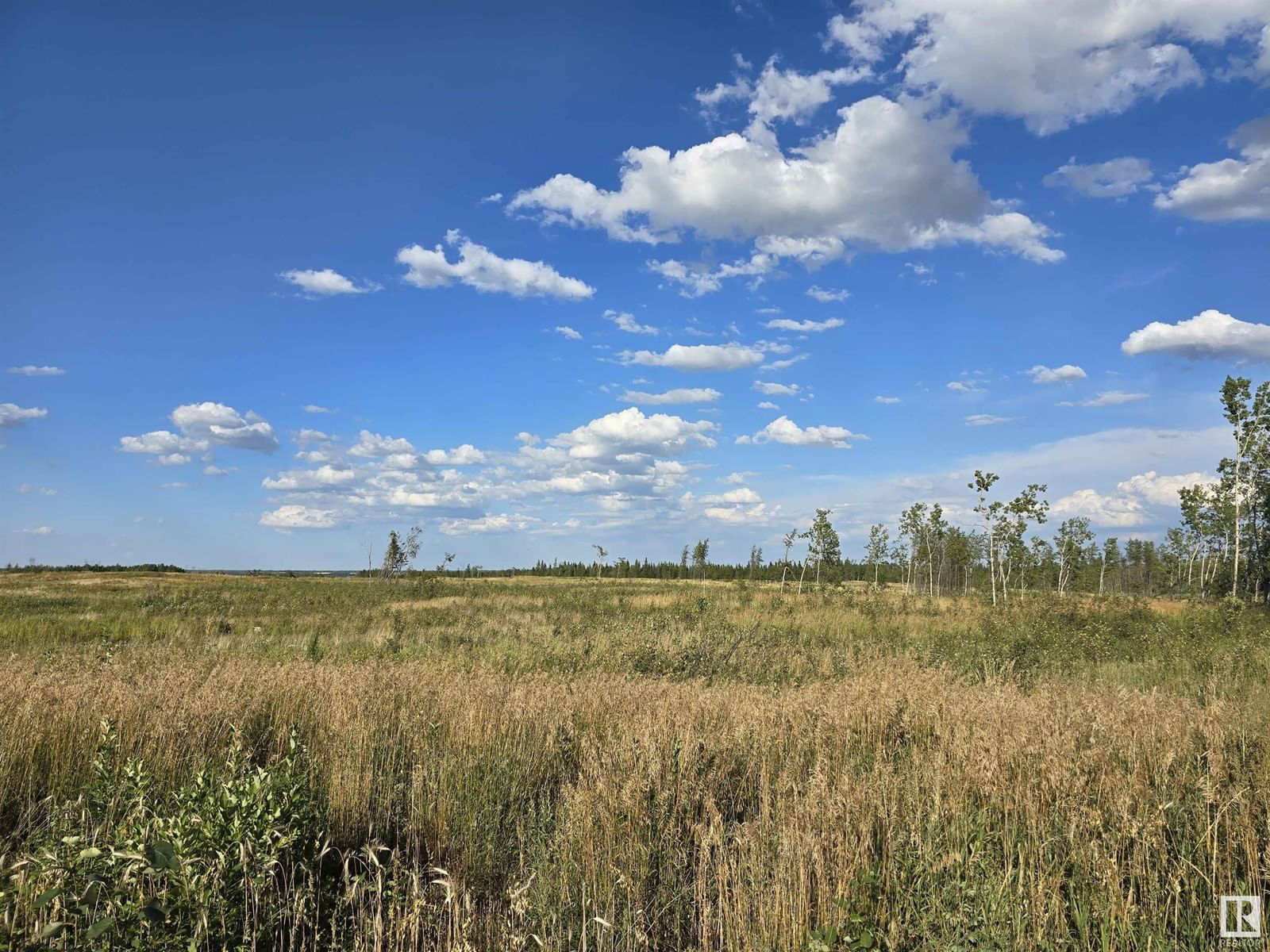 584 - 160 RR TWP Image 12