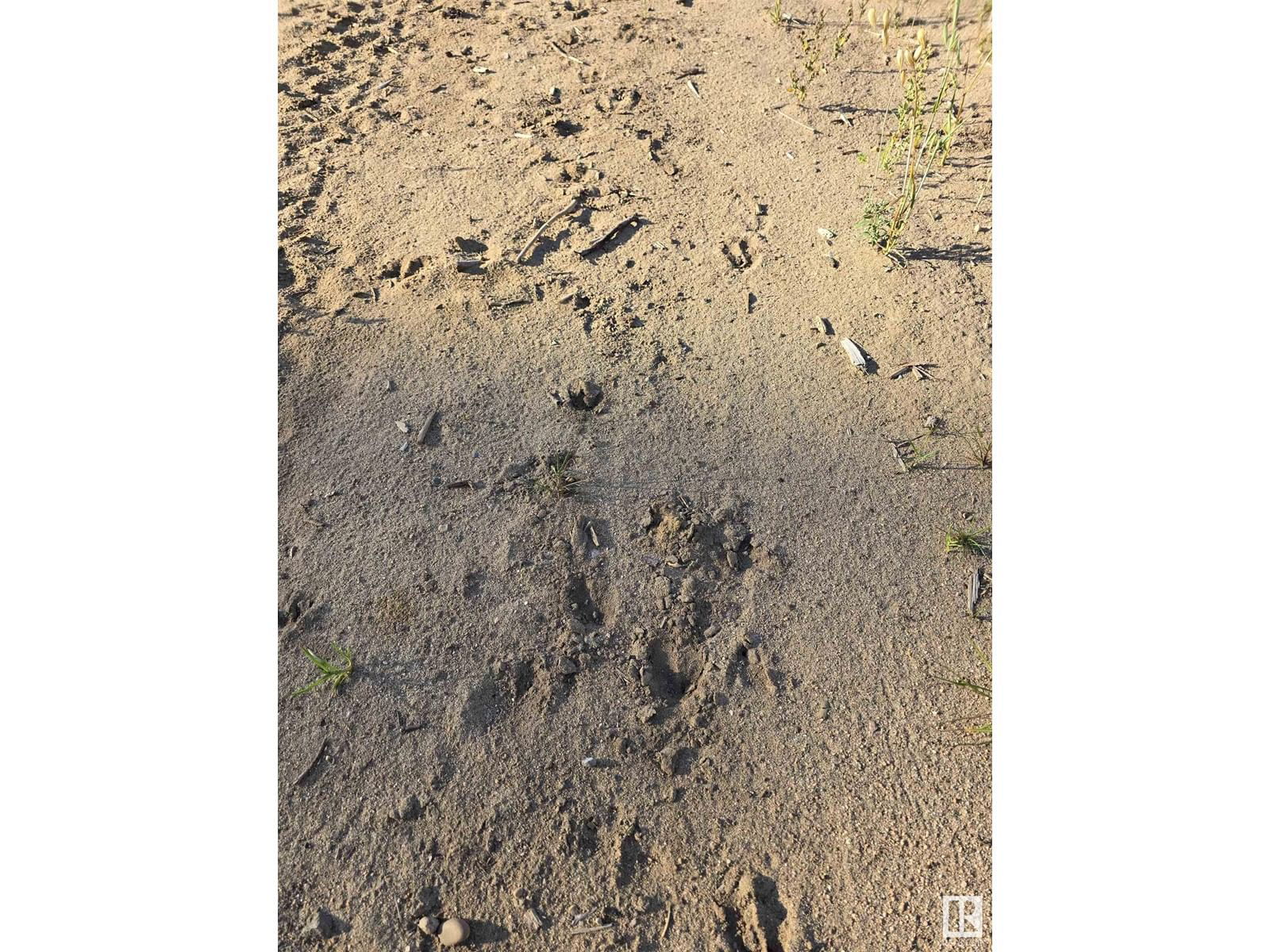 584 - 160 RR TWP Image 15