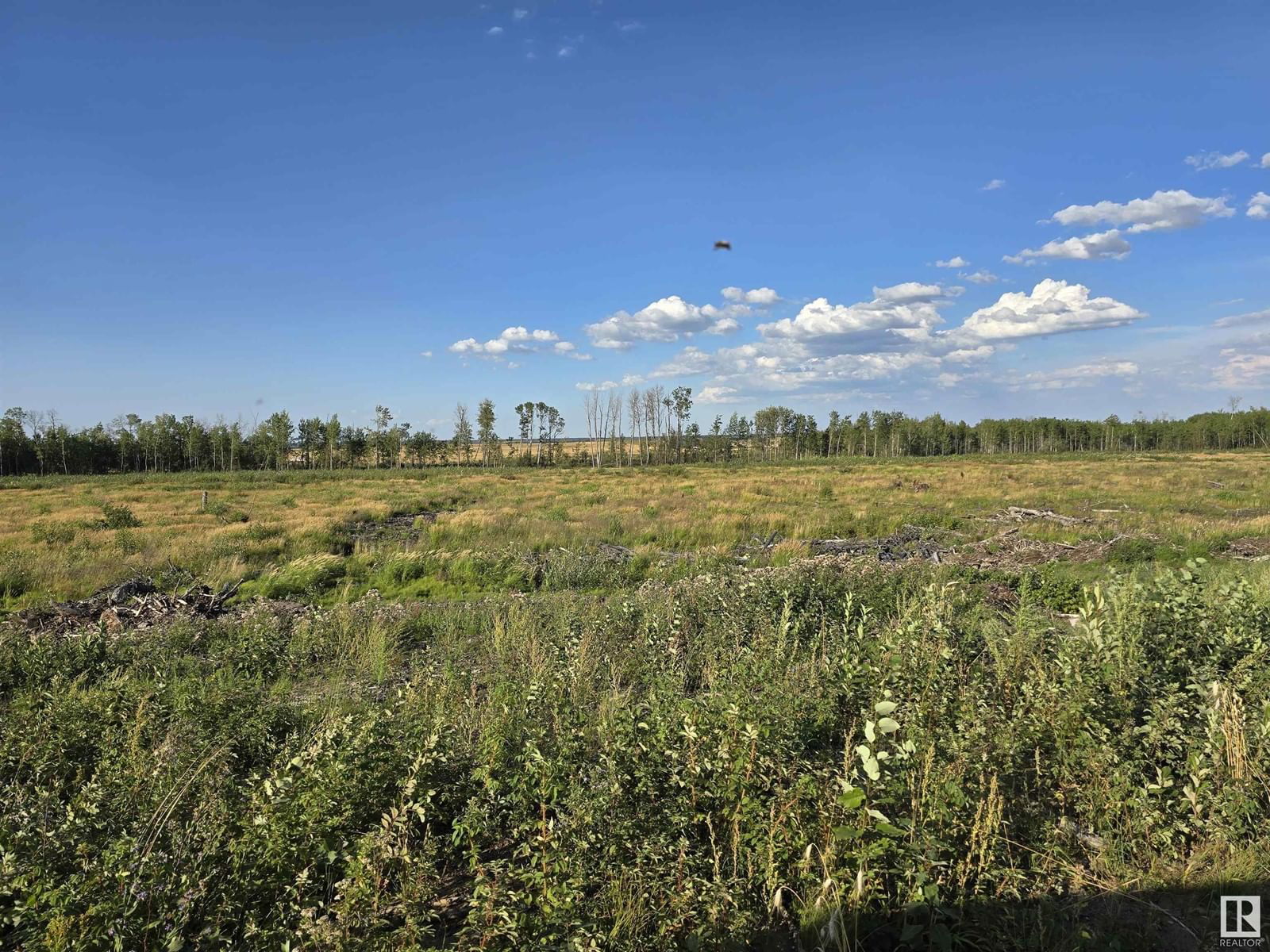 584 - 160 RR TWP Image 22