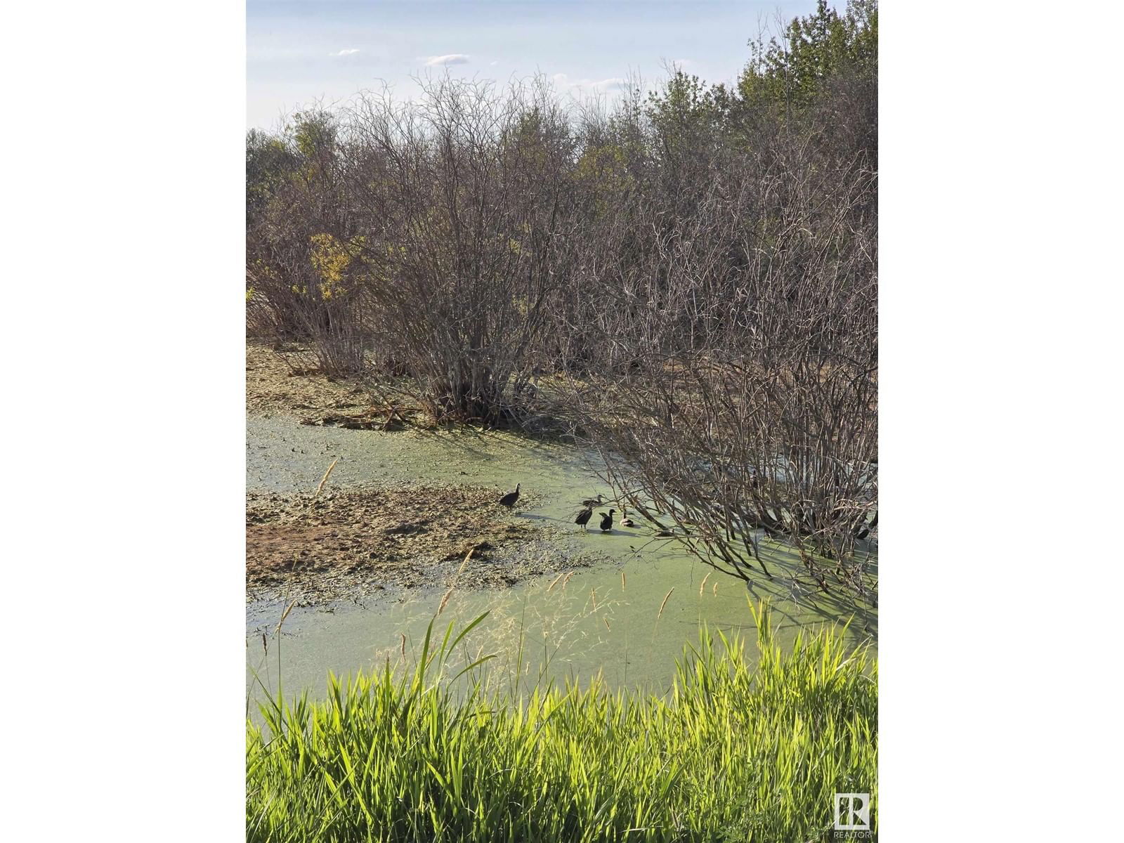 584 - 160 RR TWP Image 29