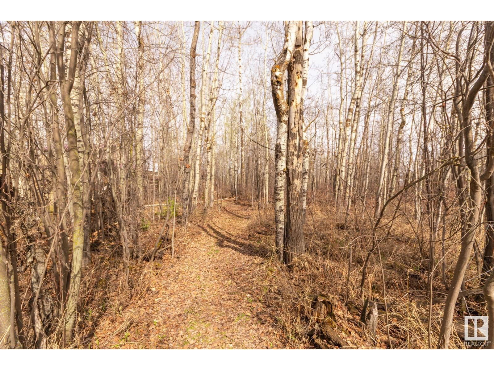 32 52515 RGE ROAD 52 Image 12