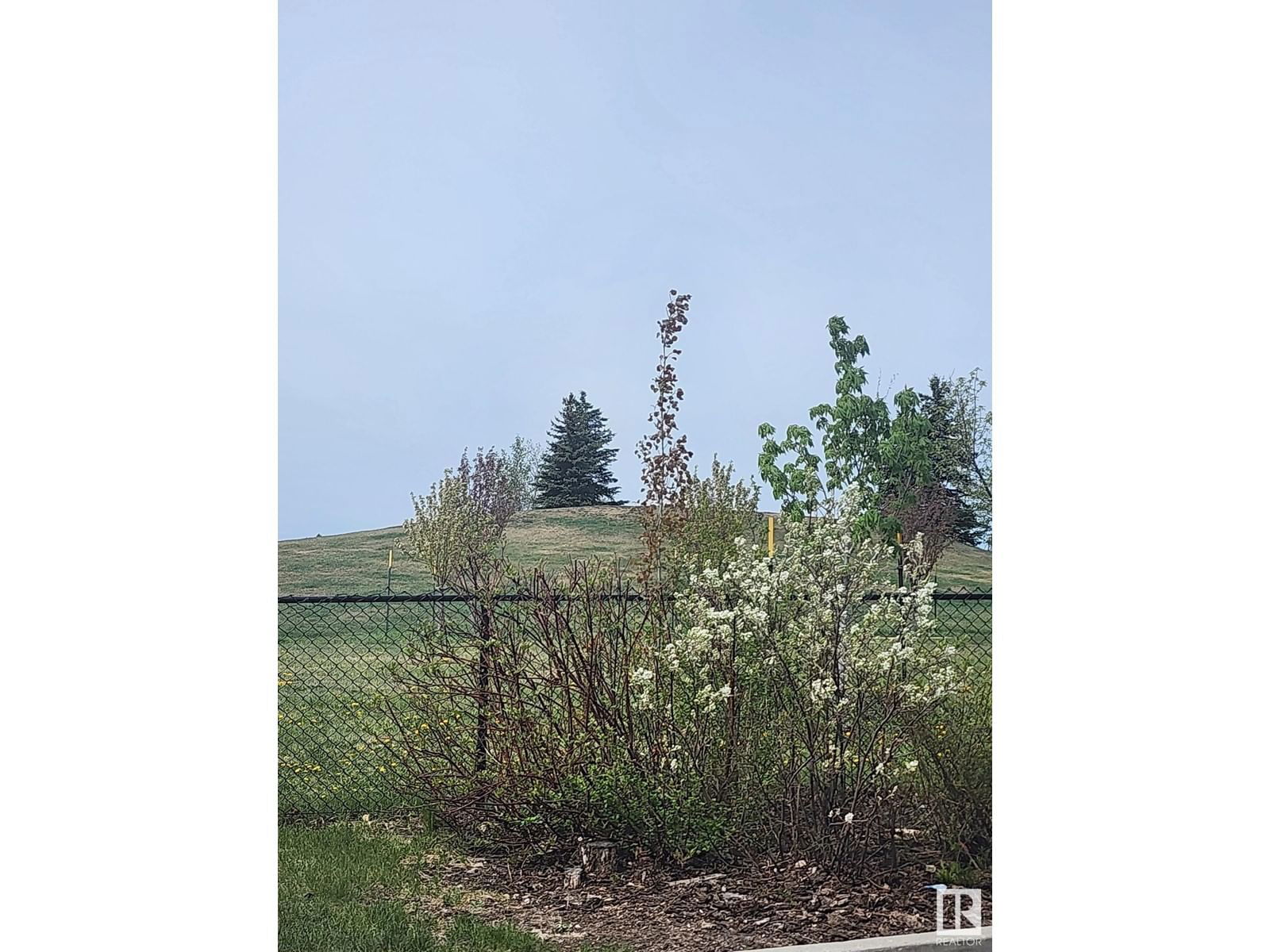 #219 - 226 MACEWAN RD Image 46