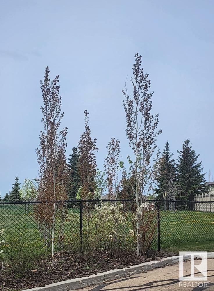 #219 - 226 MACEWAN RD Image 47