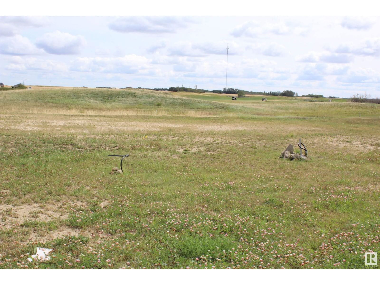 Primary Property View