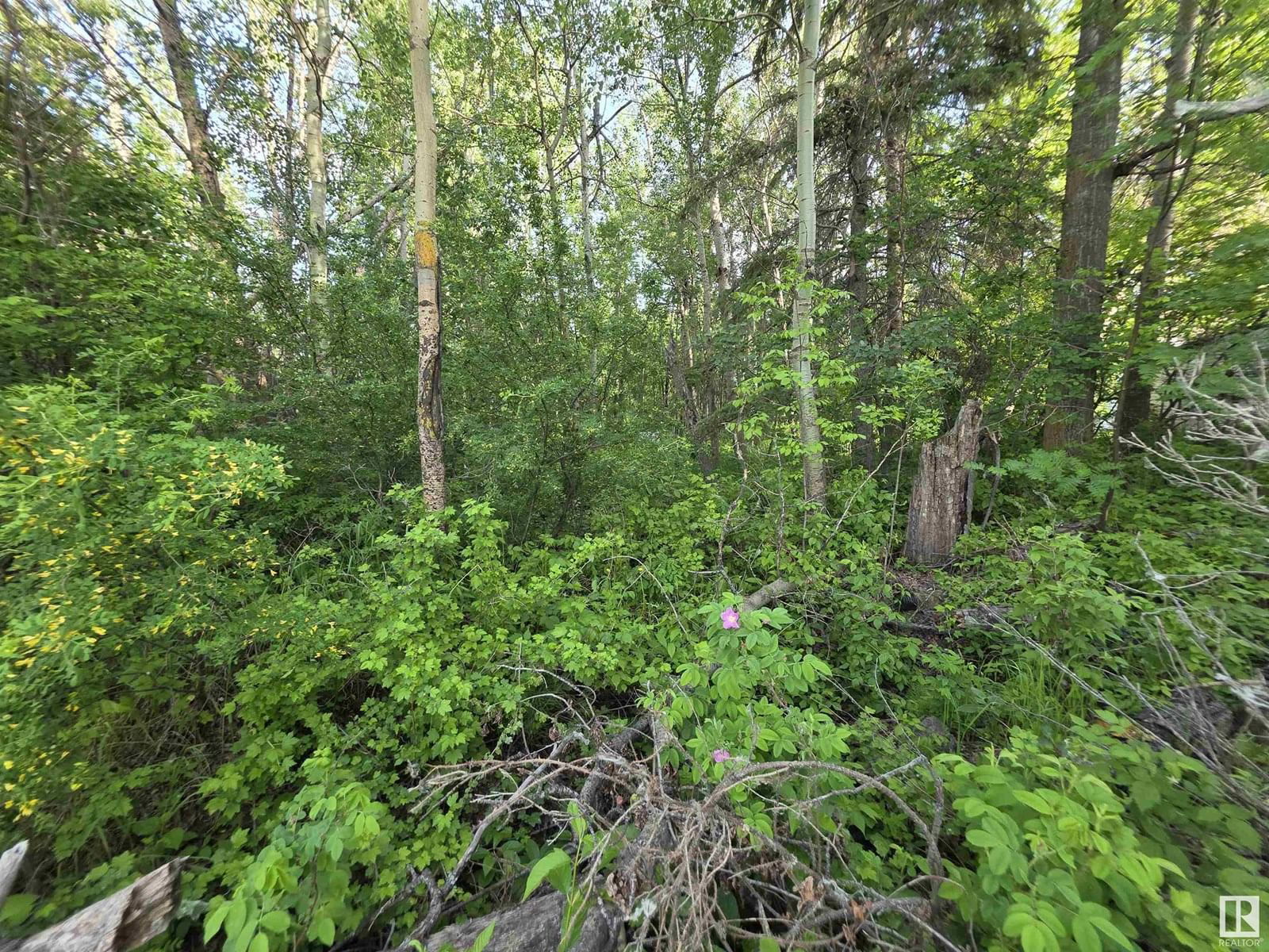 10035 HWY 13 Image 4