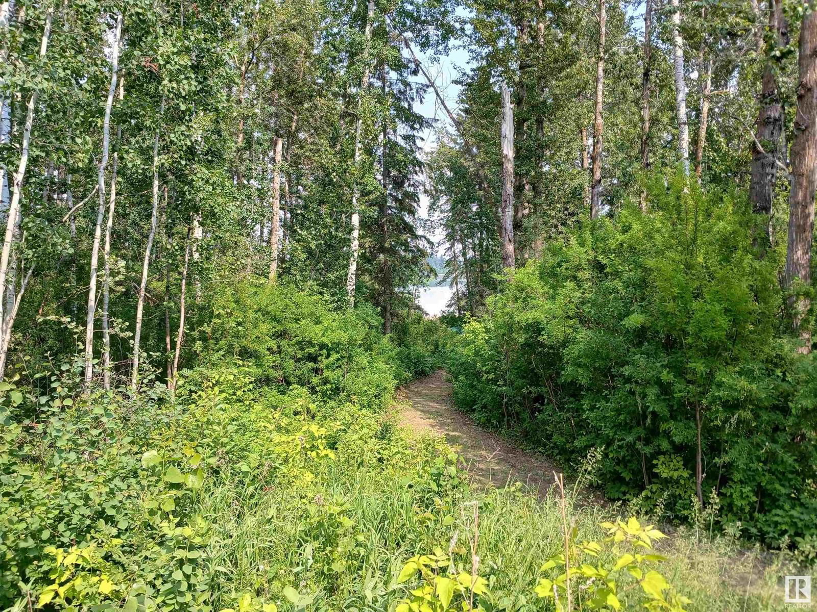 20 - 239 RNG ROAD Image 4