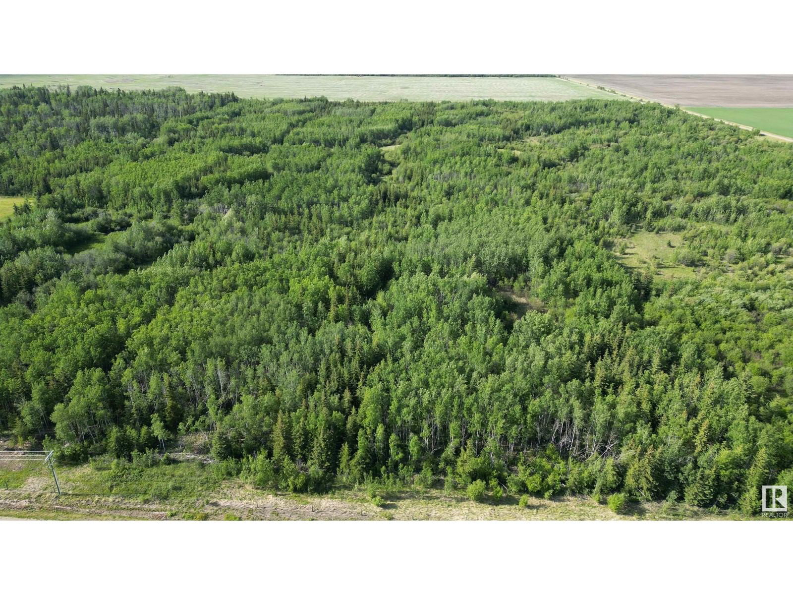 RGE RD 90 Image 4
