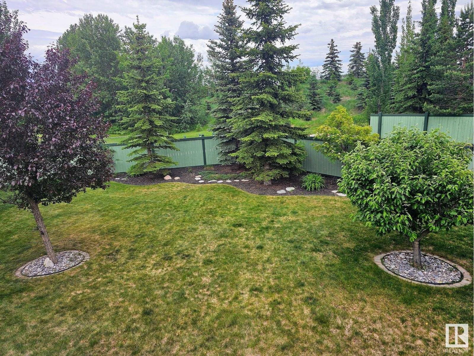 20545 92A AV Image 62