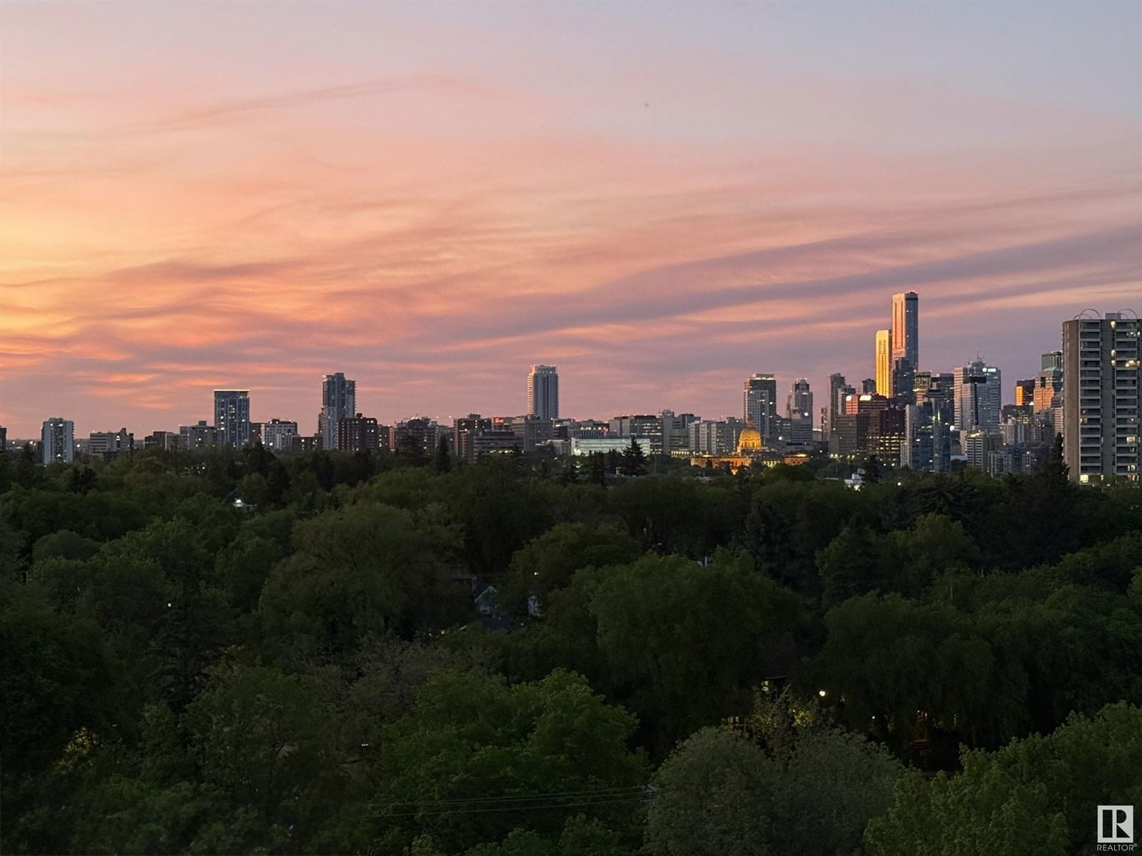 1005 11007 83 AV NW Image 36