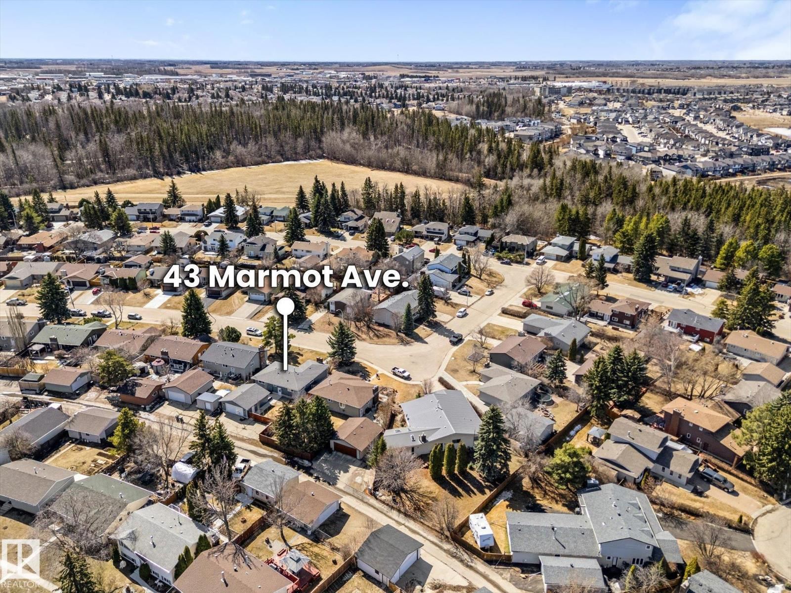 43 MARMOT AV Image 3