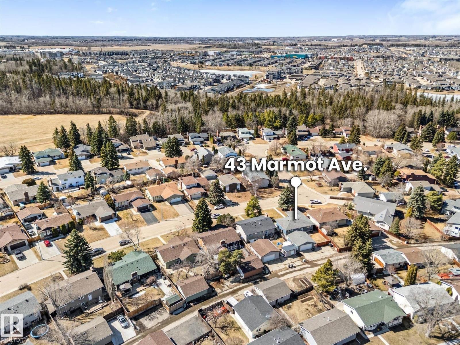 43 MARMOT AV Image 49